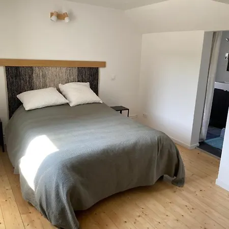 Vakantiehuis Maison Cosy Renovee Avec Jardin *